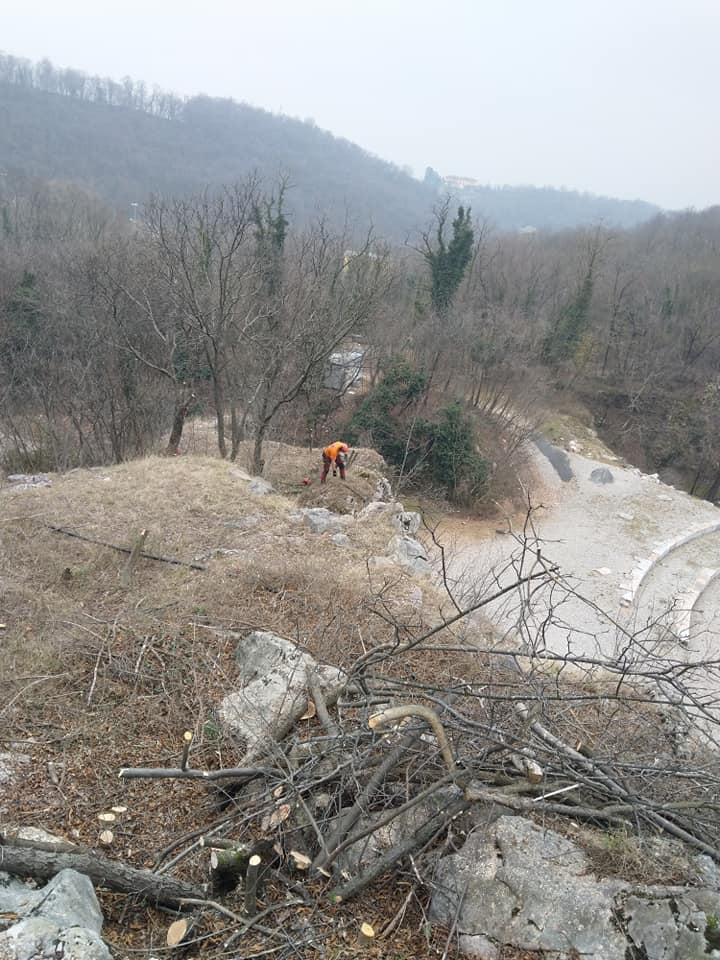 intervento per la pulizia di boschi - Galli Manuel Lavori Forestali