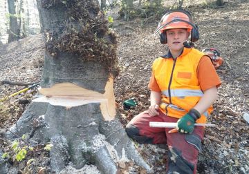 oliver-lehman-lavori-forestali